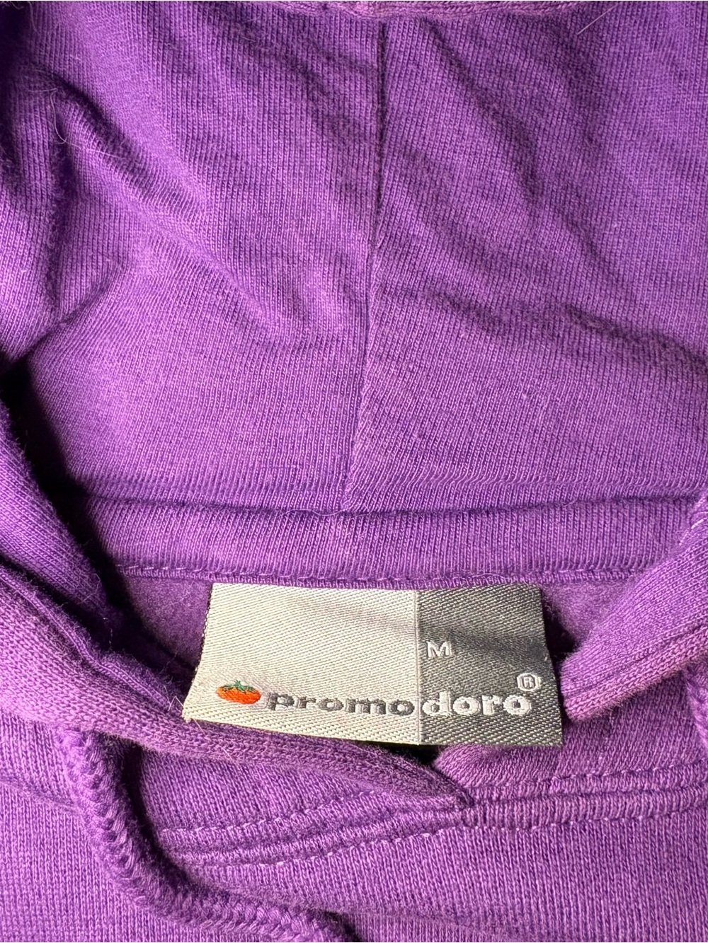 Promodoro Rammstein Purple Graphic Hoodie Signed by Till Lindemann Size Medium - Picture 3 of 6